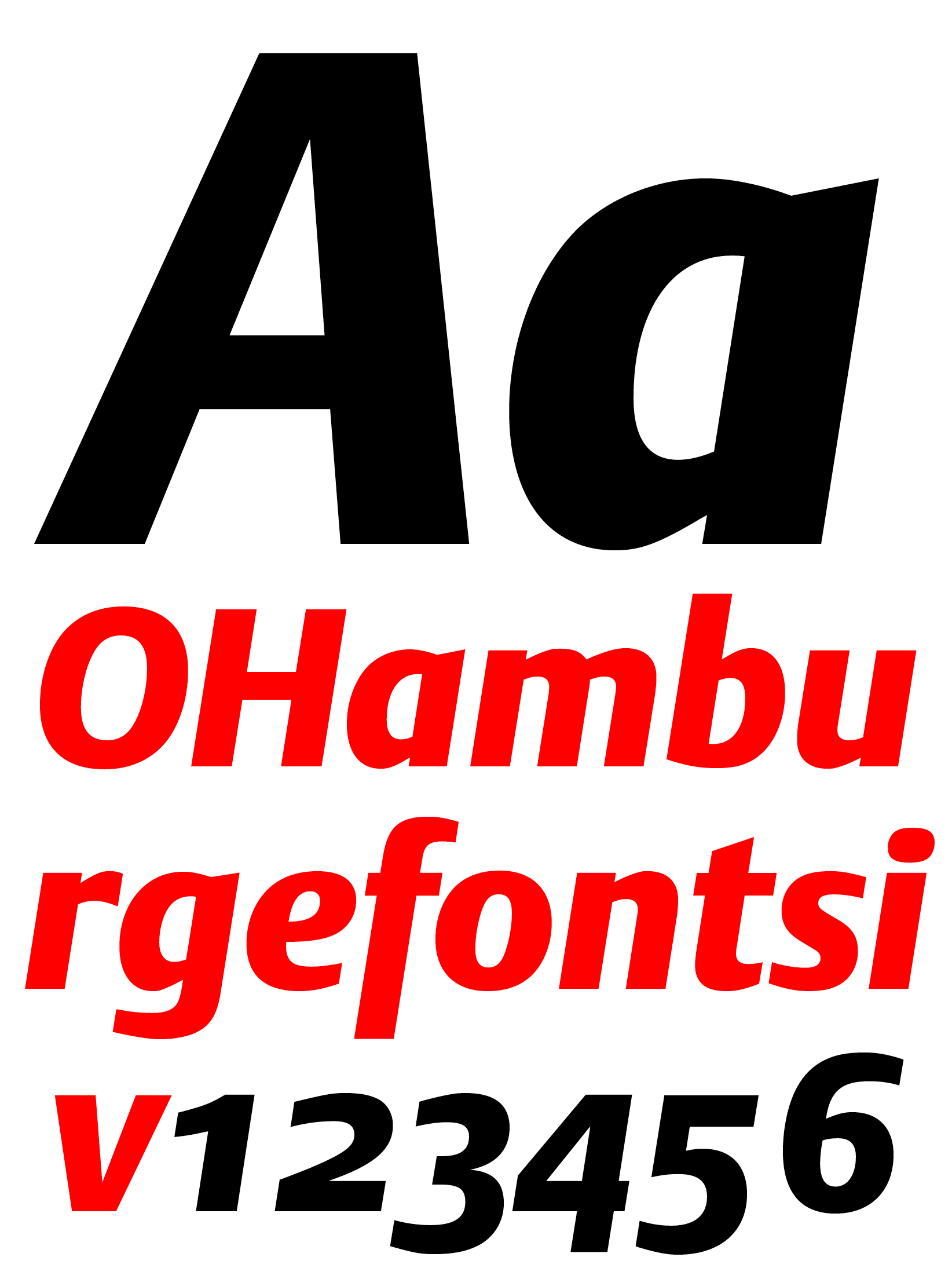 DTL Argo Black Italic