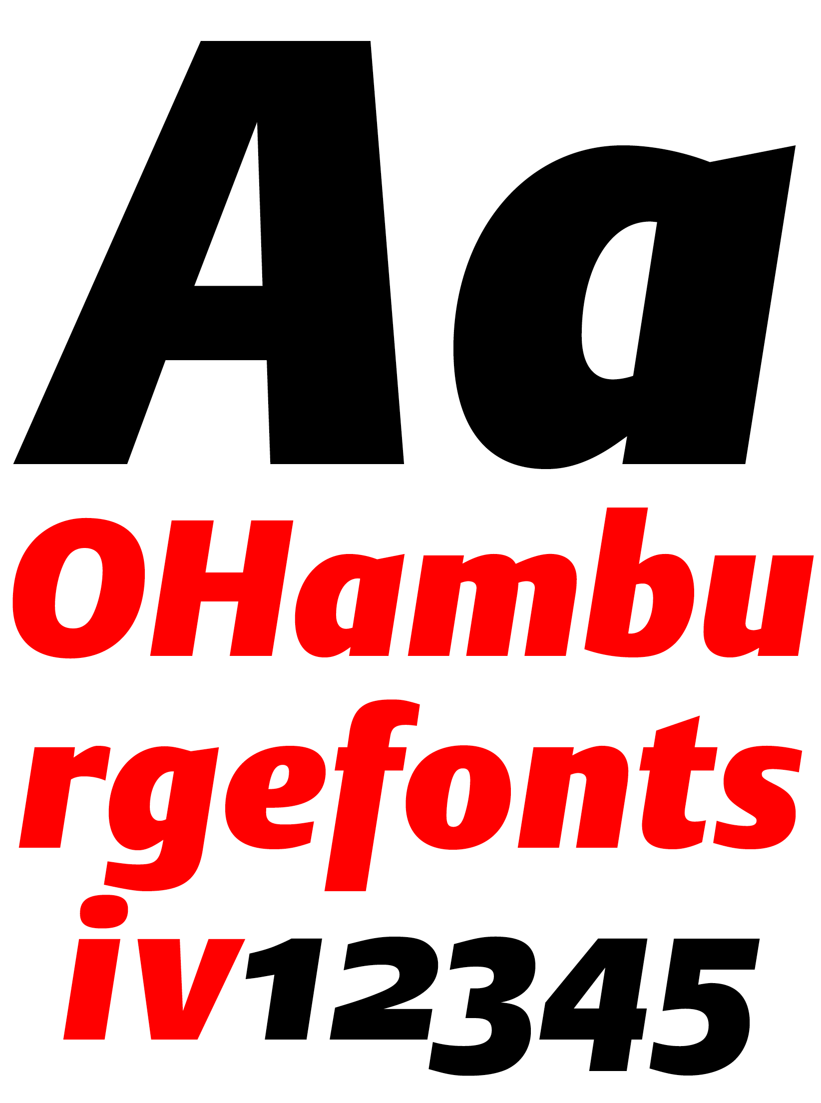 DTL Argo Heavy Italic