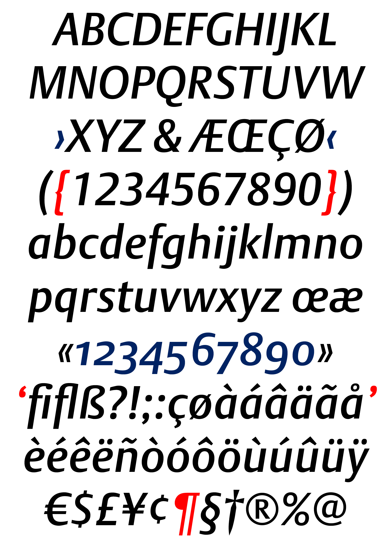 DTL Argo Medium Italic