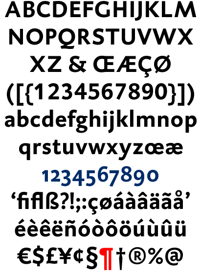 DTL Caspari Bold