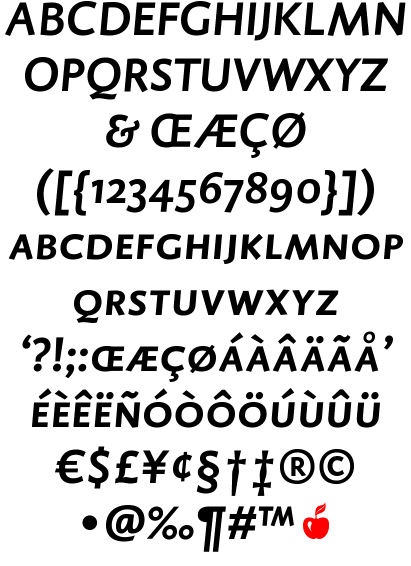 DTL Caspari | Bold Italic