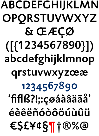 DTL Caspari Medium
