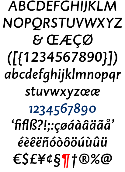 DTL Caspari | Medium Italic