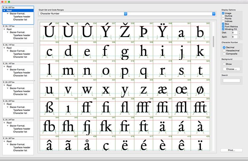 Overview (detal) of DTL Elzevir Book