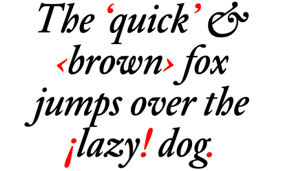 DTL Elzevir Medium Italic