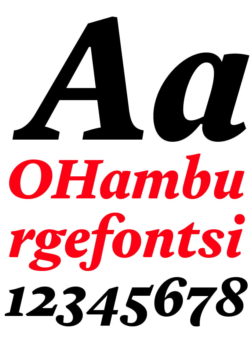 DTL Estuary Black Italic