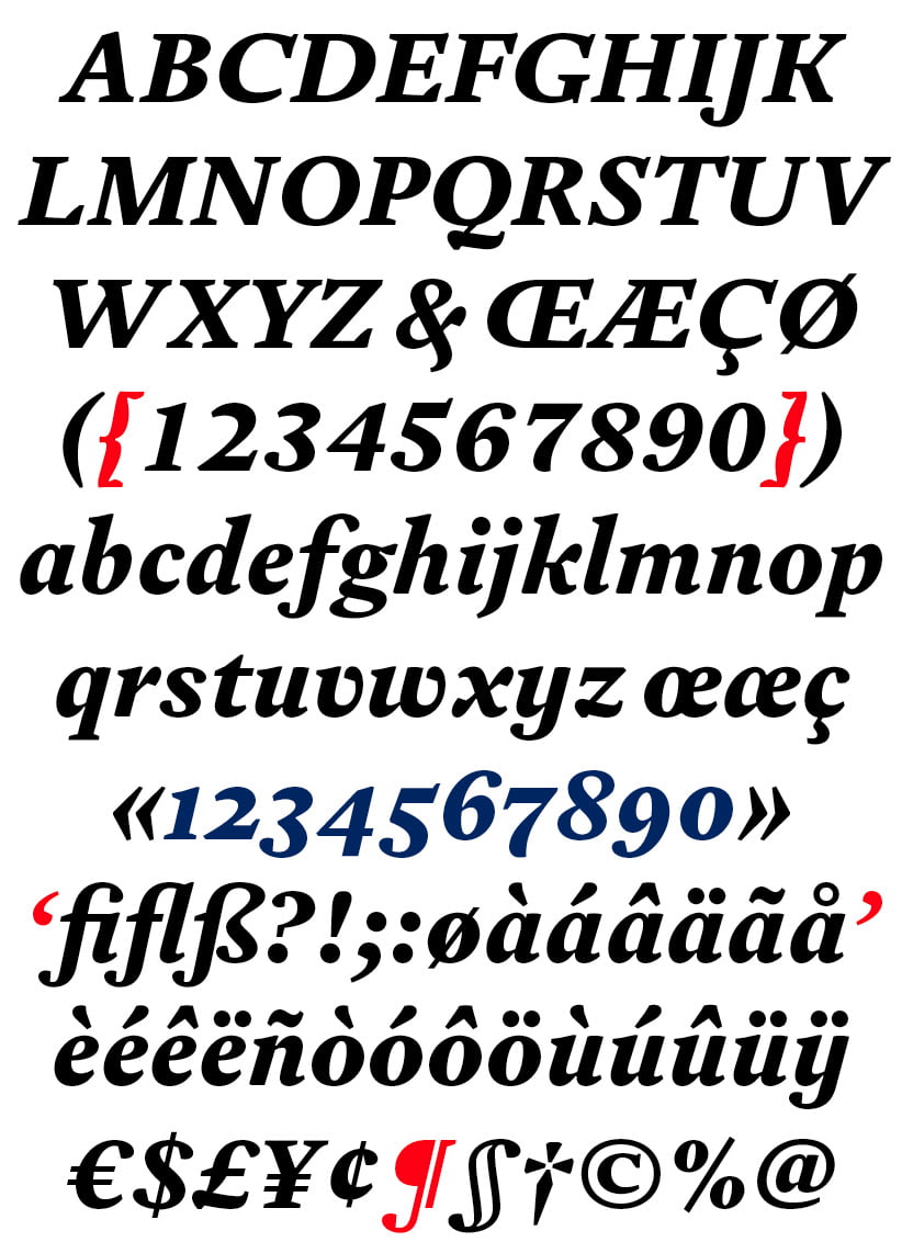 DTL Estuary Black Italic