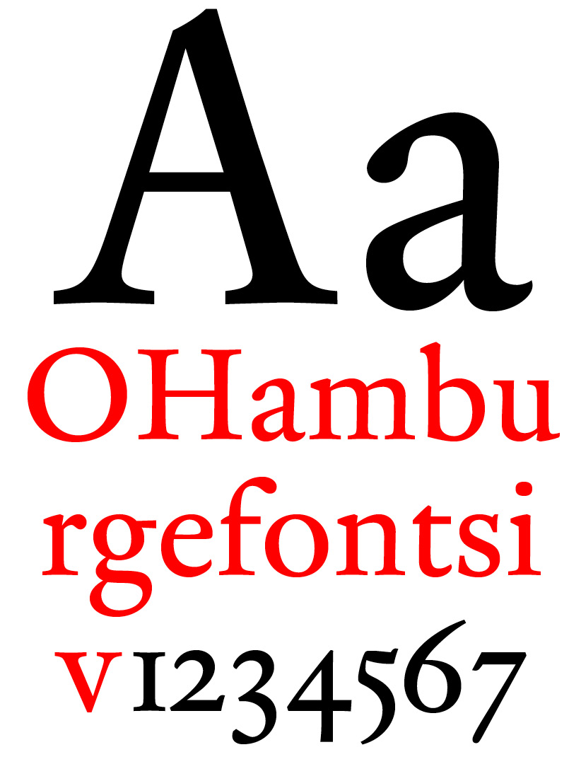 DTL Fell | Text Regular