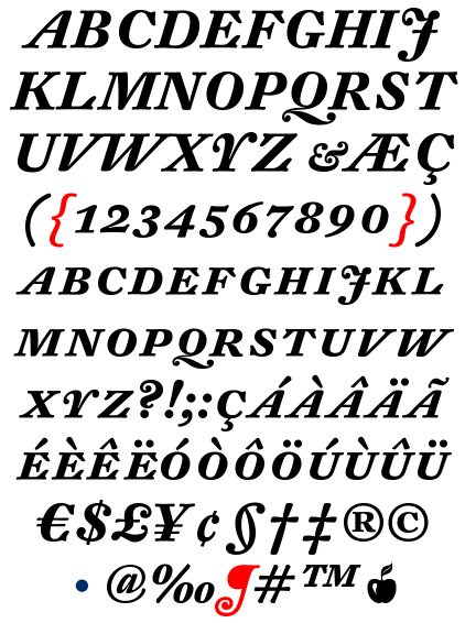 DTL Fleischmann | Text Caps Bold Italic