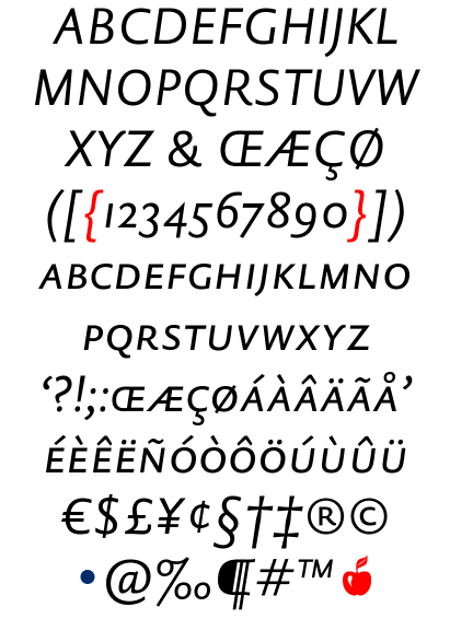 DTL Haarlemmer Sans Caps Regular Italic