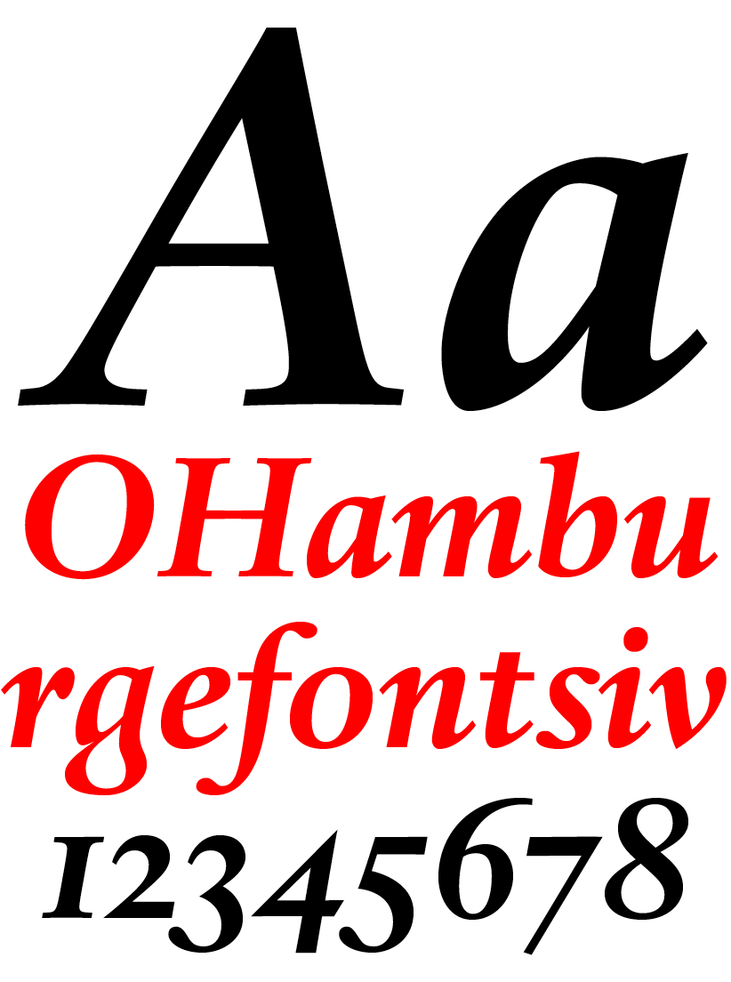 DTL Haarlemmer Bold Italic