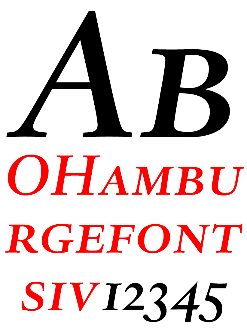 DTL Haarlemmer Caps Medium Italic