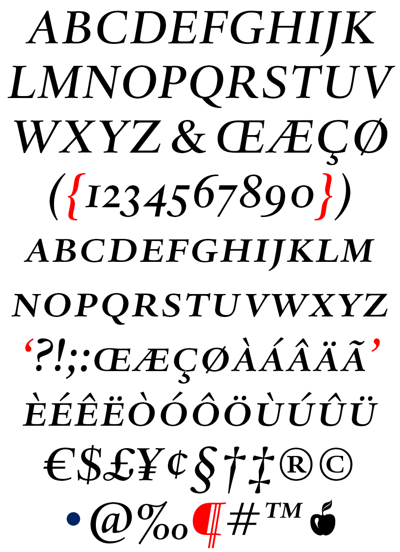 DTL Haarlemmer Caps Medium Italic