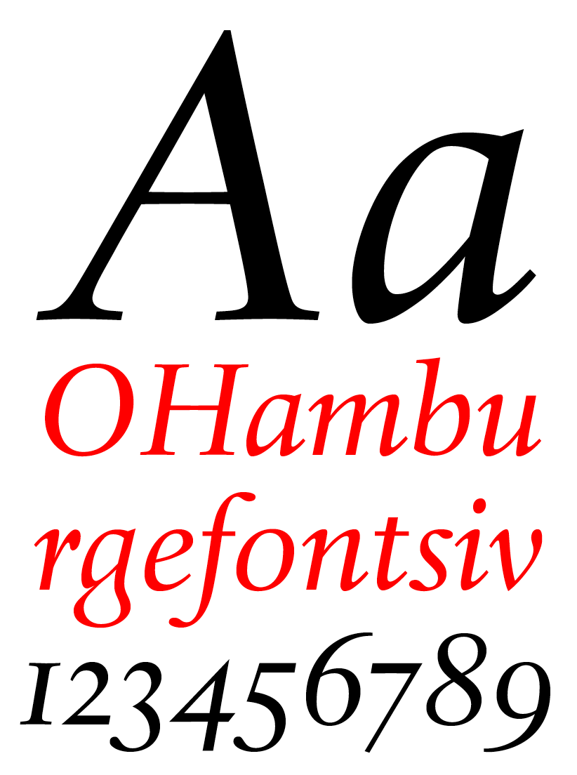 DTL Haarlemmer Regular Italic