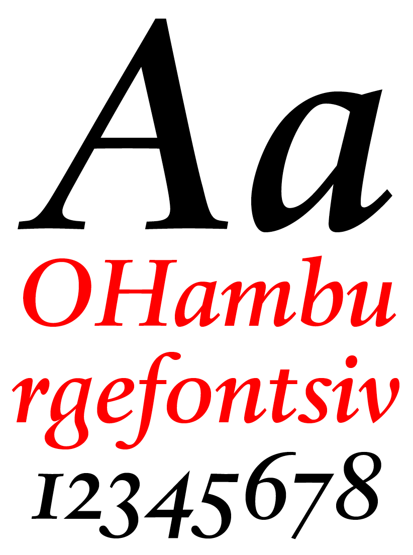 DTL Haarlemmer Medium Italic