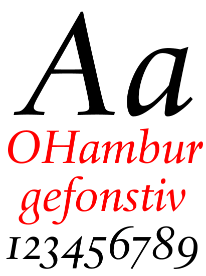 DTL Haarlemmer Regular Italic