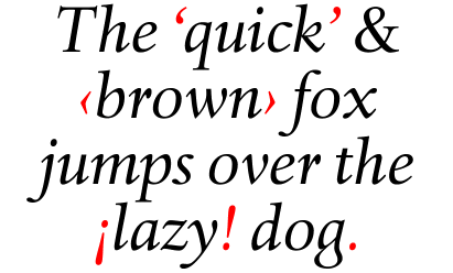 DTL Haarlemmer Regular Italic