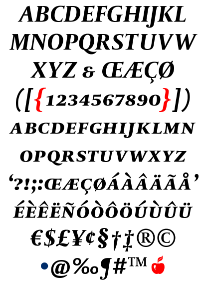 DTL Paradox Caps Black Italic