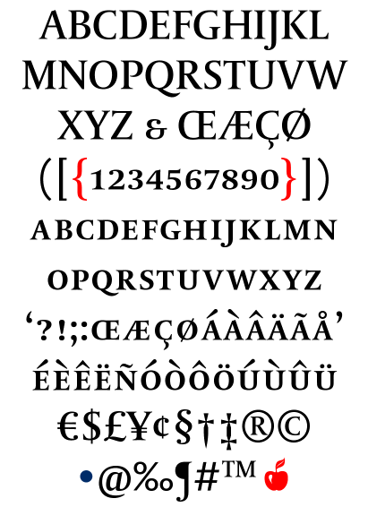 DTL Paradox Caps Medium