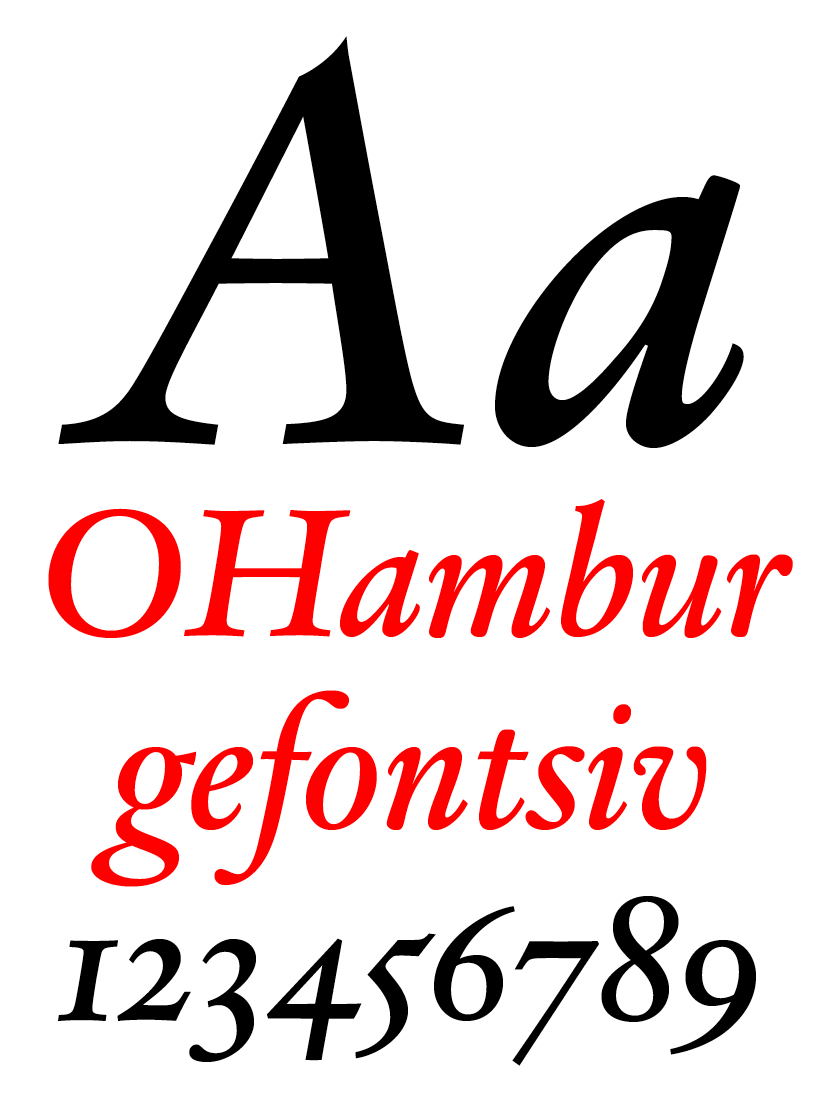DTL VandenKeere Display Medium Italic